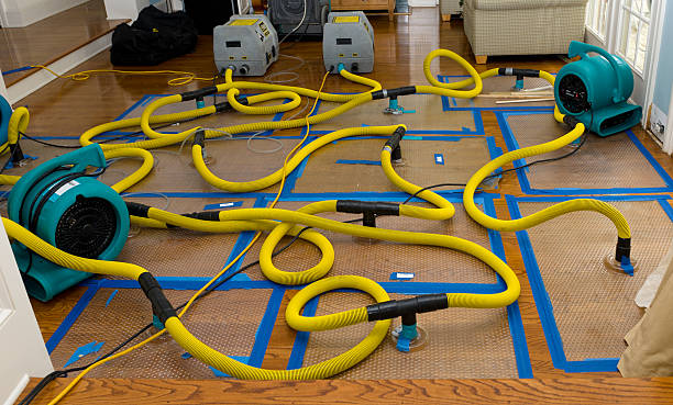 Professional Water Extraction technician working in Cerritos, CA